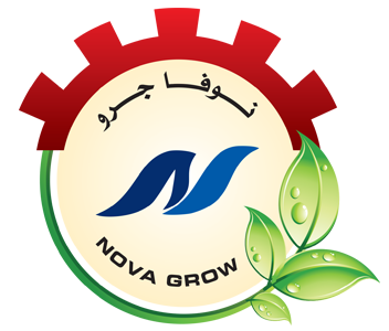 نوفا جرو